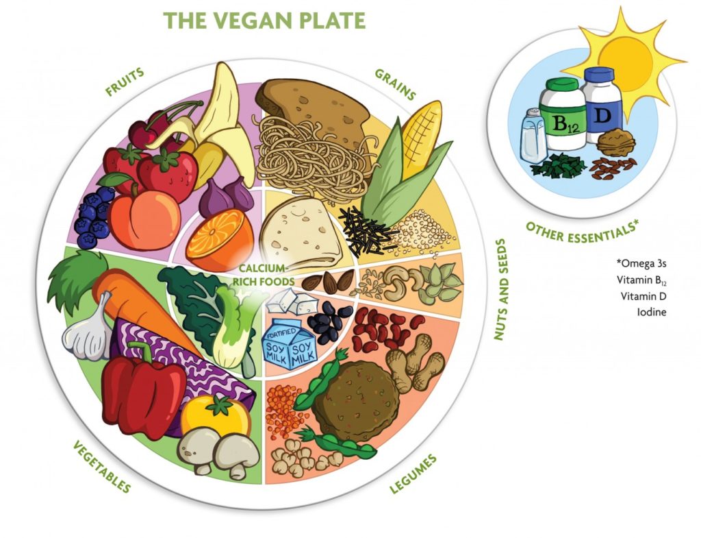 the vegan plate guide to healthy diet