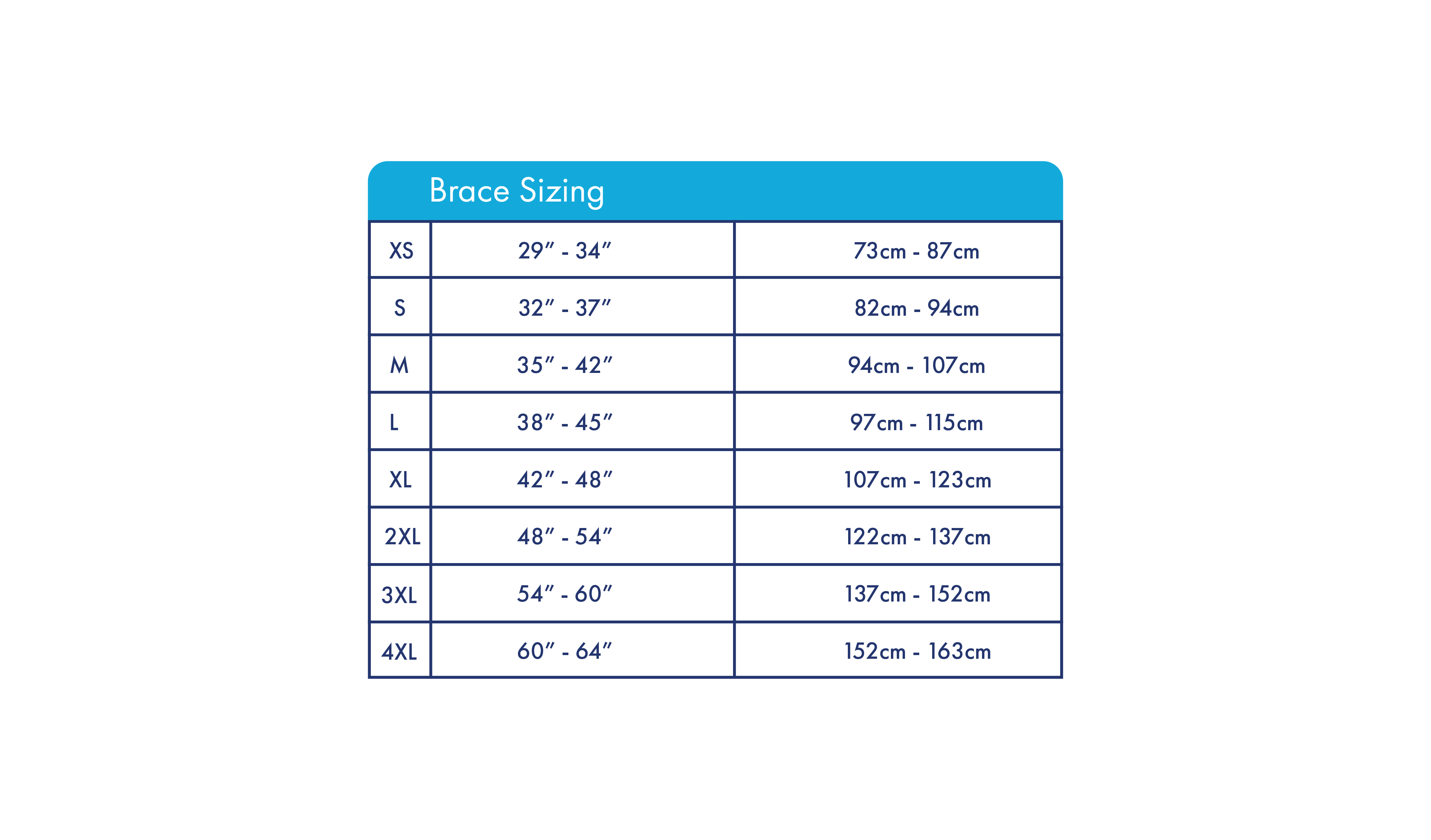 Mama Strut Sizing Breakdown